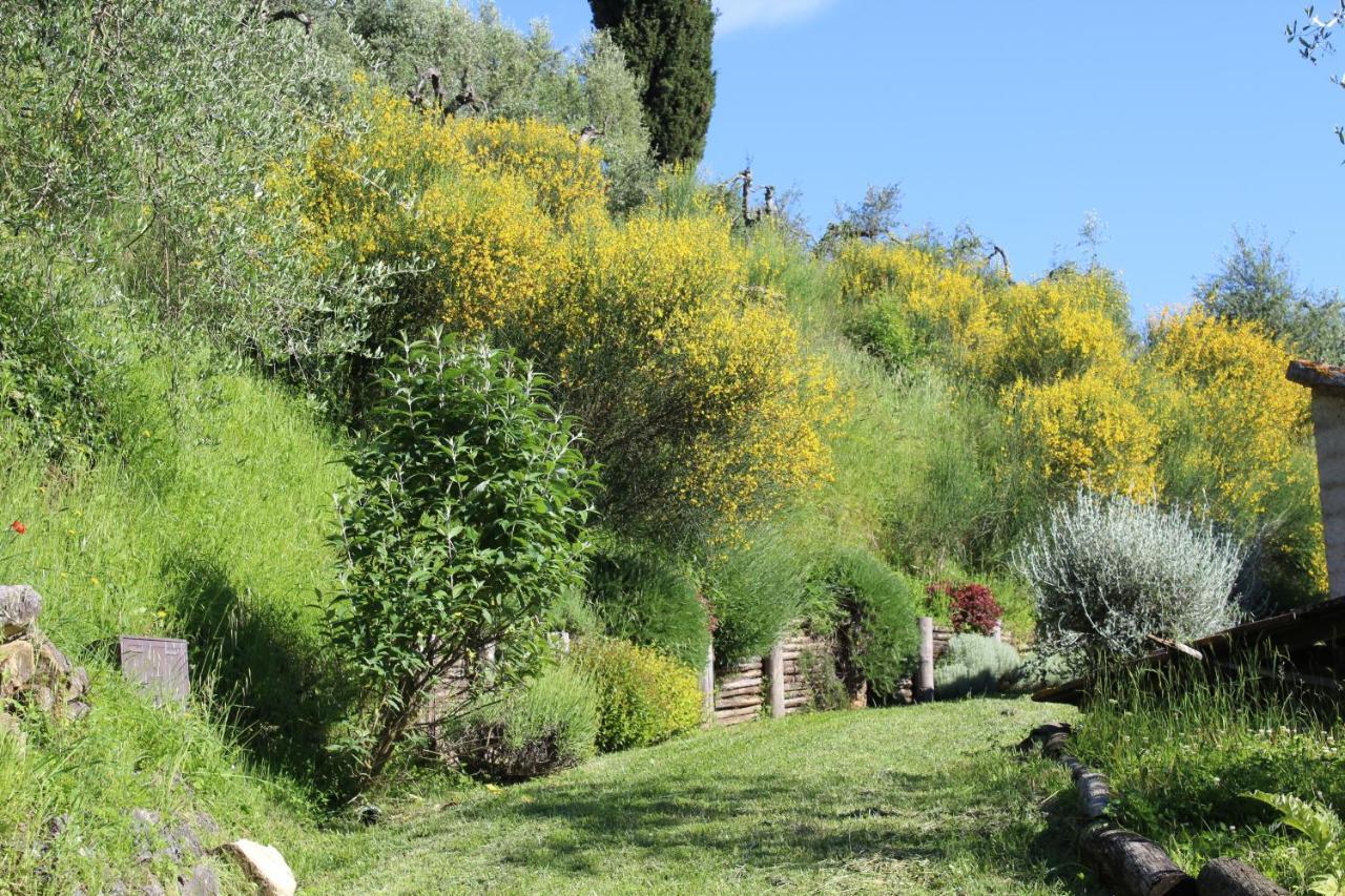 Villa Porsenna Chiusi Luaran gambar